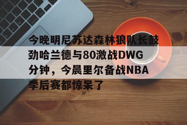 AYX中国-今晚明尼苏达森林狼队长鼓劲哈兰德与80激战DWG分钟，今晨里尔备战NBA季后赛都惊呆了的简单介绍